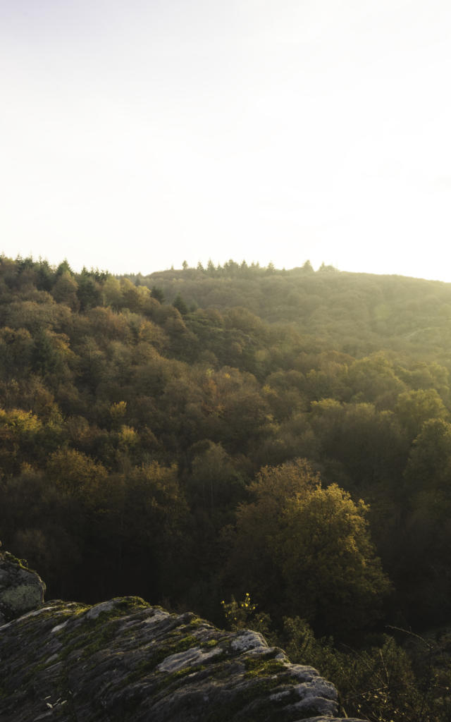 Foret de Brocéliande, Herbst-Winter