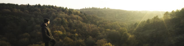 Bosque de Brocéliande, otoño-invierno