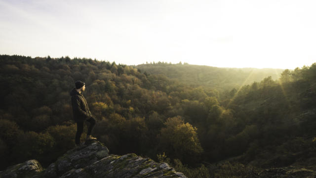 Foresta di Brocéliande, autunno-inverno