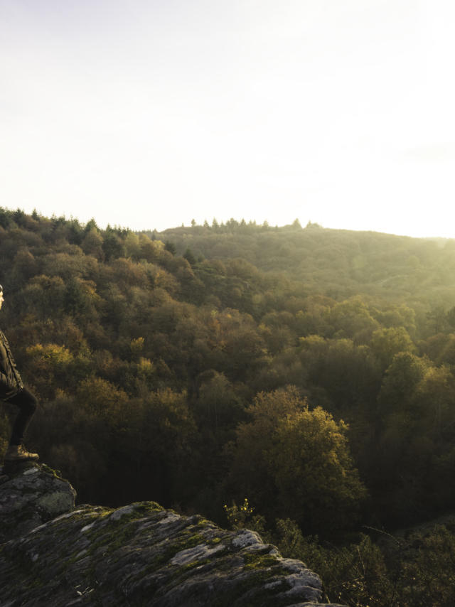 Foret de Brocéliande, Herbst-Winter