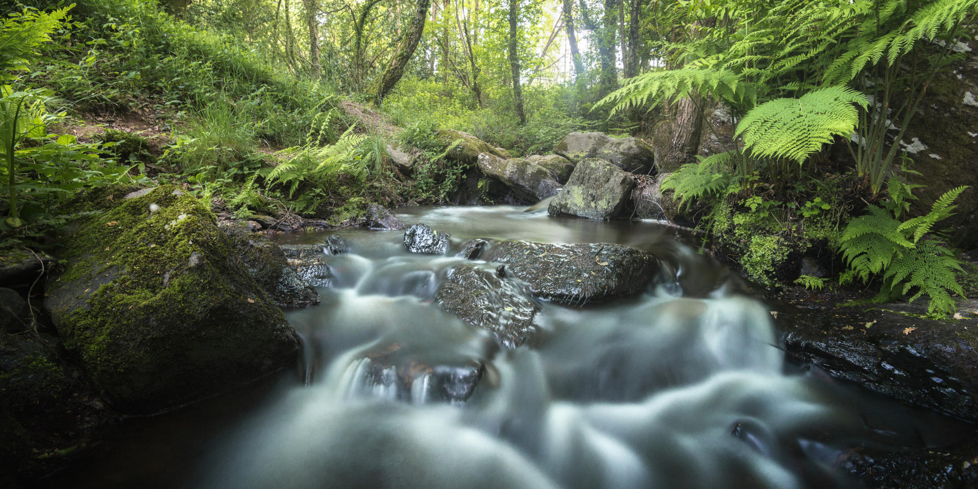 Brocéliande-Bach