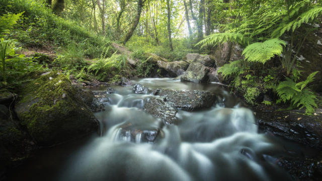 Brocéliande stroom