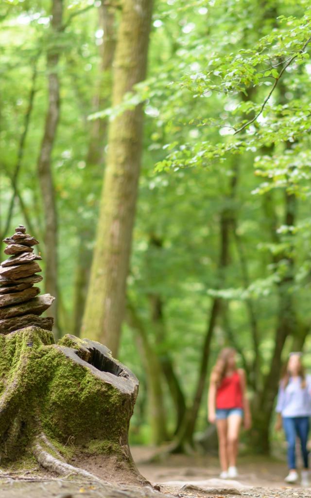 Verhalenwandeling in het bos van Brocéliande