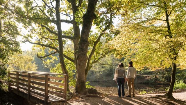 Francia, Morbihan (56), Tréhorenteuc, la Val sans Retour