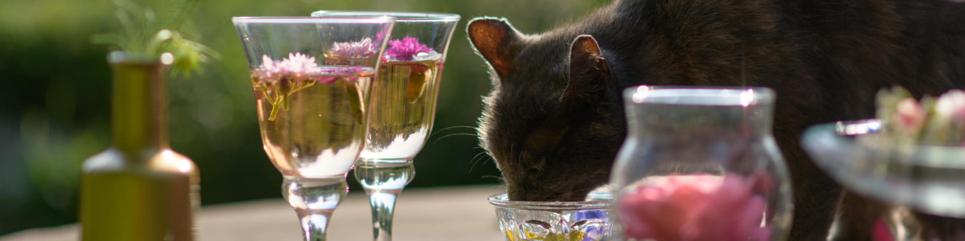 Productos locales Emmanuel Berthier