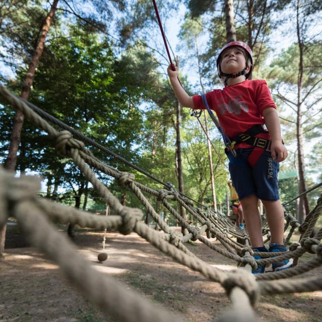 Accrobranche Activités Emmanuel Berthier