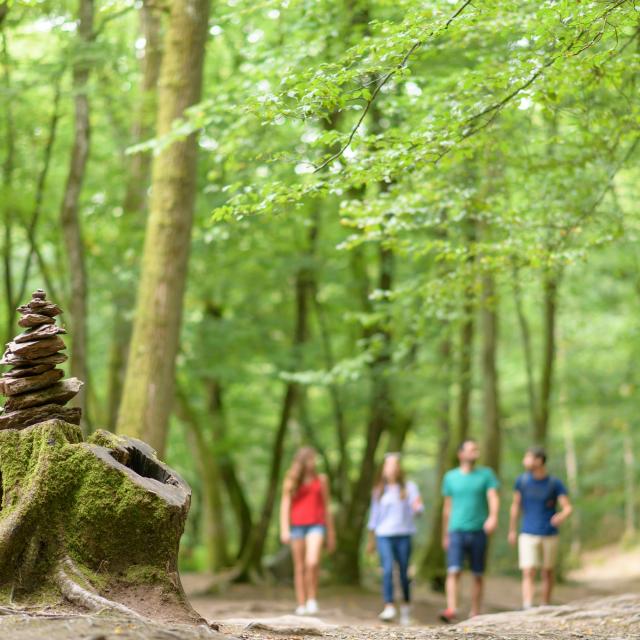 Verhalenwandeling in het bos van Brocéliande