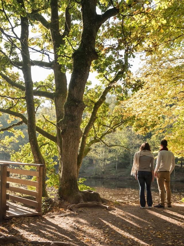 Francia, Morbihan (56), Tréhorenteuc, la Val sans Retour