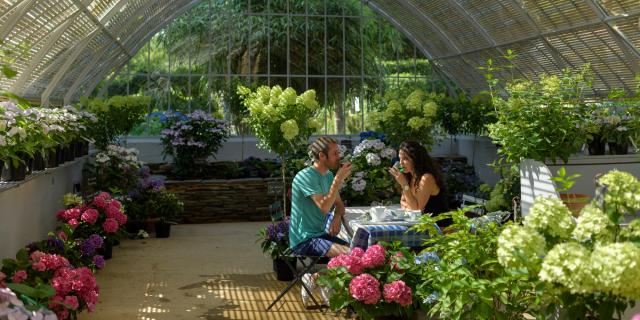 Parque Hortensias du Haut Bois, Ploermel