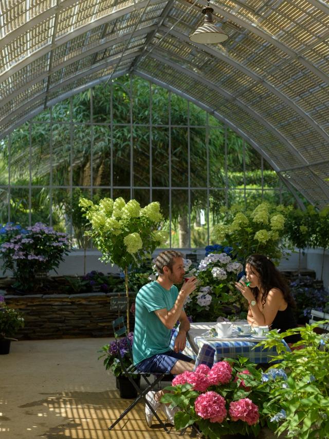 Le parc des Hortensias du Haut Bois, Ploermel
