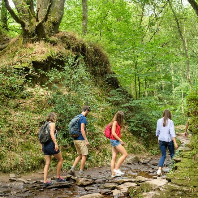 Wanderung im Wald von Brocéliande