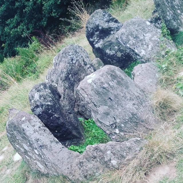 Instagram #broceliande