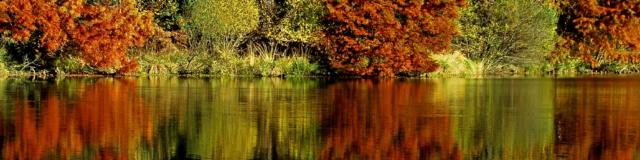 broceliande-andre-fortin-32.jpg
