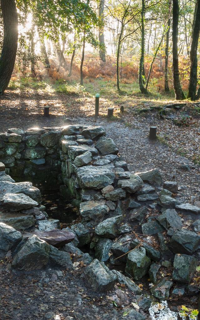 Paimpont, la fontaine de Barenton dans la foret de Broceliande.
