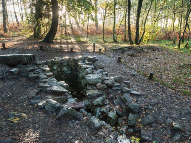 Paimpont, la fontana di Barenton nella foresta di Broceliande.