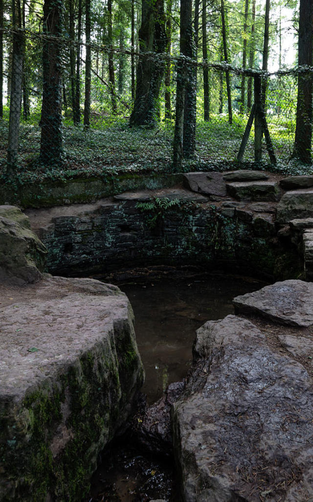 Fontaine De Jouvence en Brocéliande