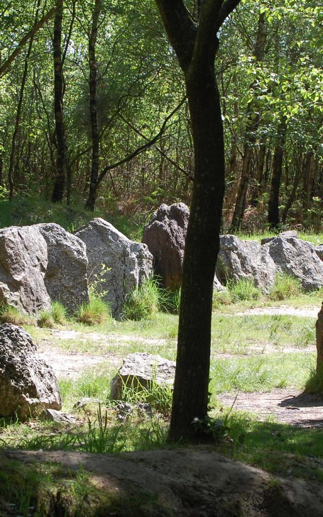 jardin aux moines site mégalithique en forêt de Brocéliande