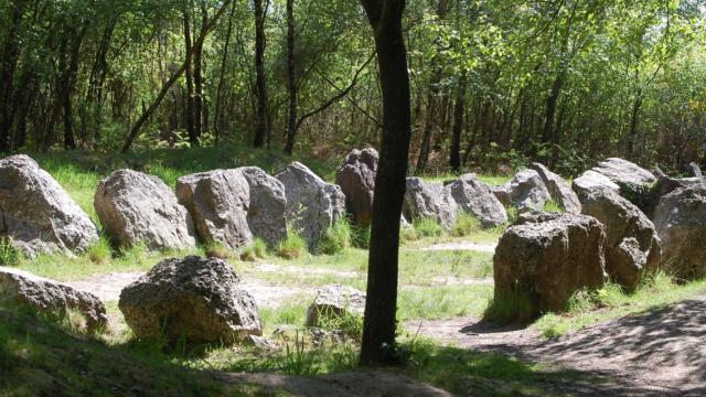 jardin aux moines sito megalitico nella foresta di Brocéliande