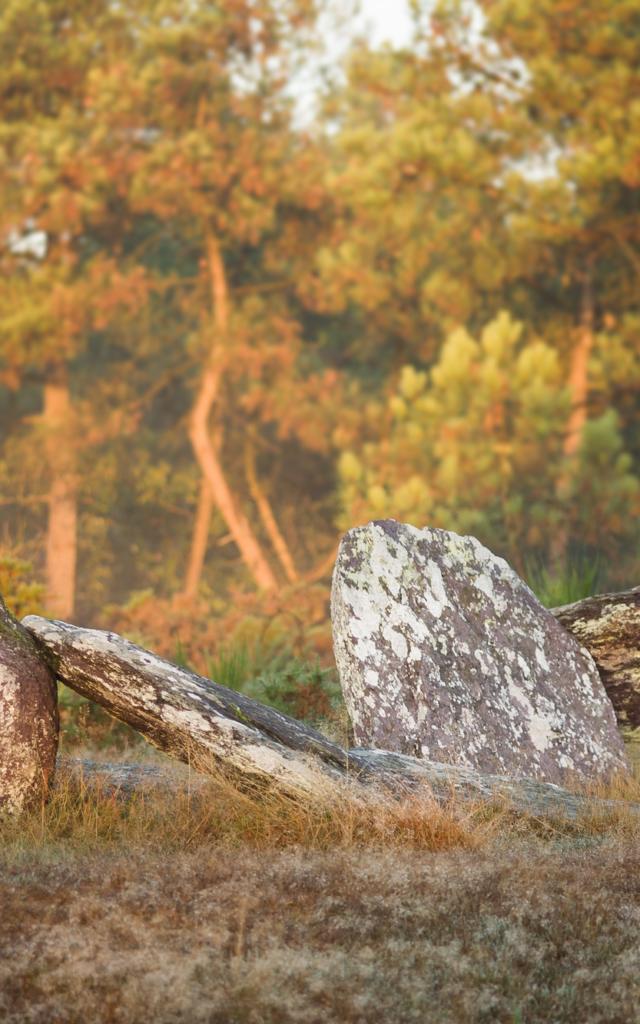 Menhires de Monteneuf