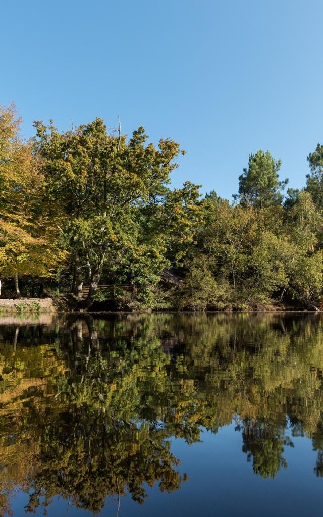 balade dans le val sans retour et découverte du miroir aux fées