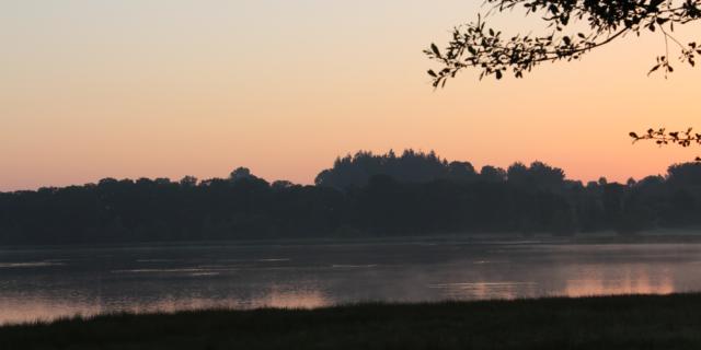 Réserve Ornithologique De Careil - Foto bei Sonnenaufgang mit rosafarbenem Himmel