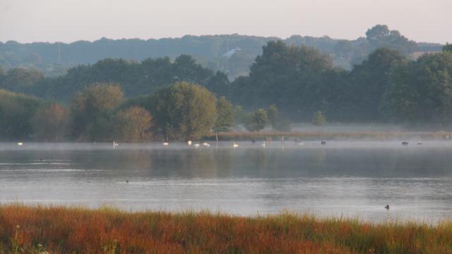 Réserve Ornithologique De Careil - vue générale sur la réserve ornithologique