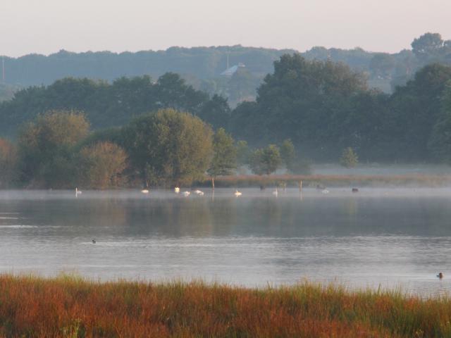 Réserve Ornithologique De Careil - vista general de la reserva ornitológica