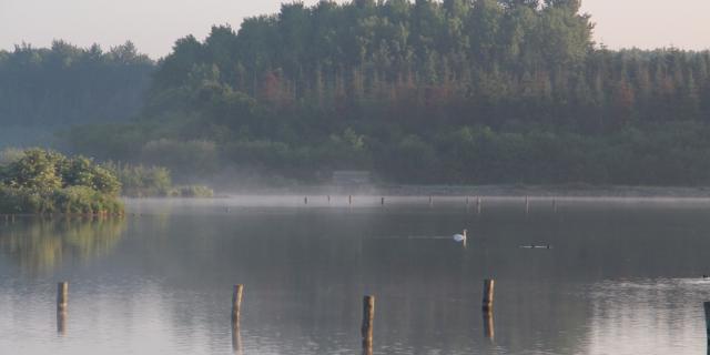 Réserve Ornithologique De Careil - allgemeine Sicht auf das Gebiet