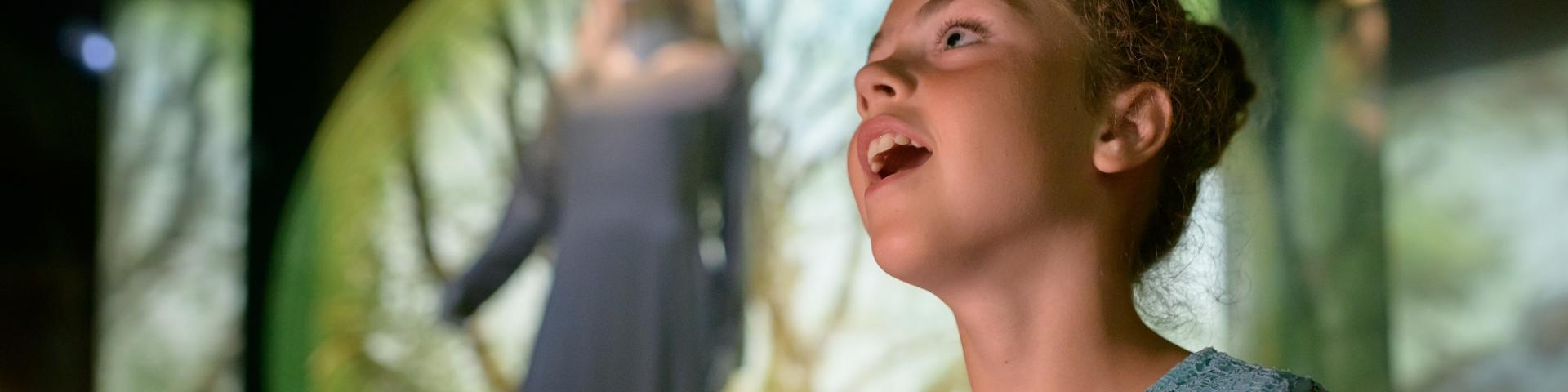 Exposición Centre arthurien 2018 ©emmanuel Berthier