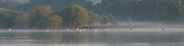 Réserve Ornithologique De Careil - Allgemeiner Blick auf das Vogelschutzgebiet