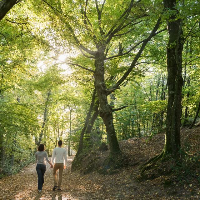 een wandeling in de vallei des onheils en ontdekking van het bos van Brocéliande