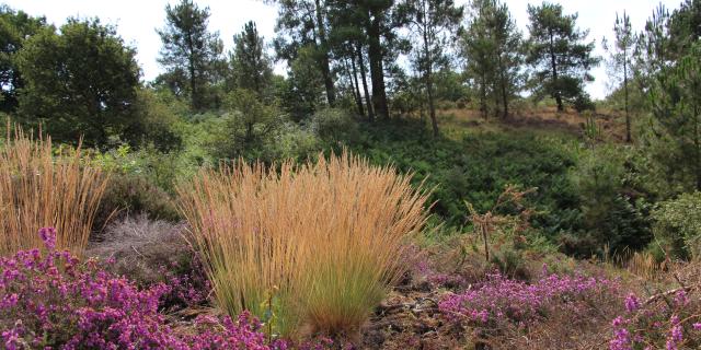 Paisaje de páramo en el valle De La Chambre Au Loup