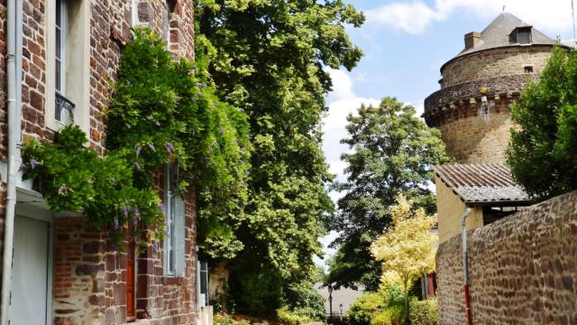 Torre Papegaut - Montfort