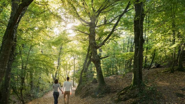 una passeggiata nella valle del non ritorno e la scoperta della foresta di Brocéliande