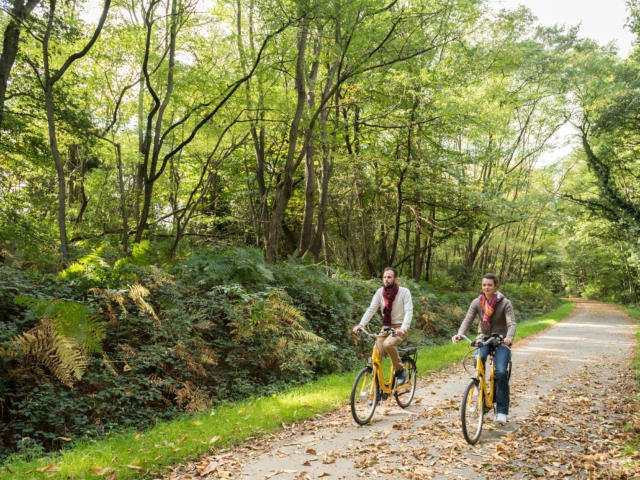 Voie verte brocéliande bike tour