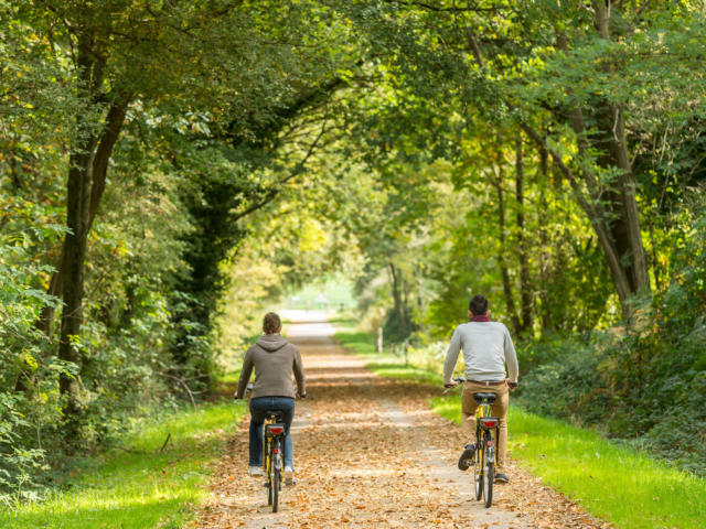 Voie verte brocéliande bike tour