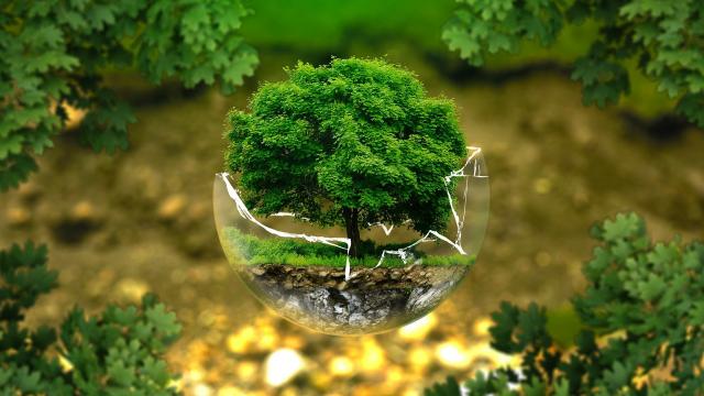 environmental-protection-326923-1920.jpg