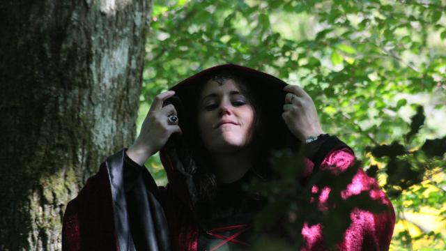 Armonia, cantastorie in Brocéliande