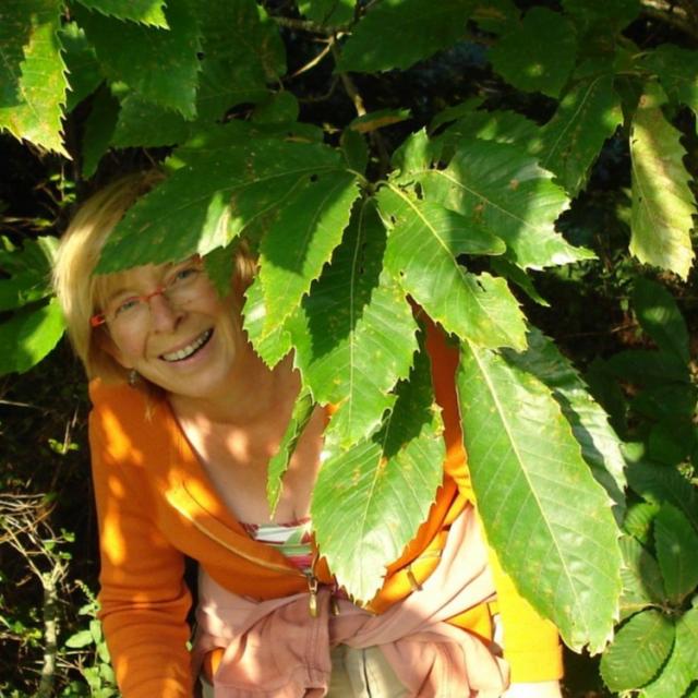 Lindylou Märchenerzählerin enbrocéliande