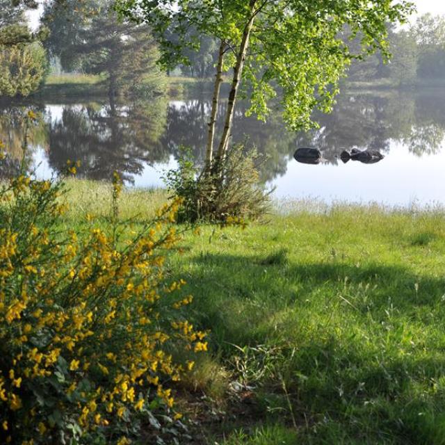 La Marette a St Malon sur Mel