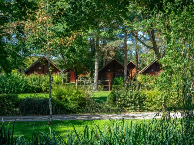 chalets-cerf-blanc.jpg