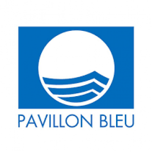 Blue Flag