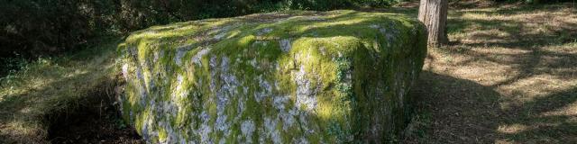 Roches de Trebran - Concoret - Morbihan