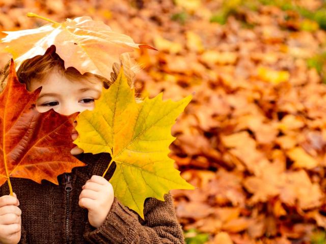 Herbst Familie Kind