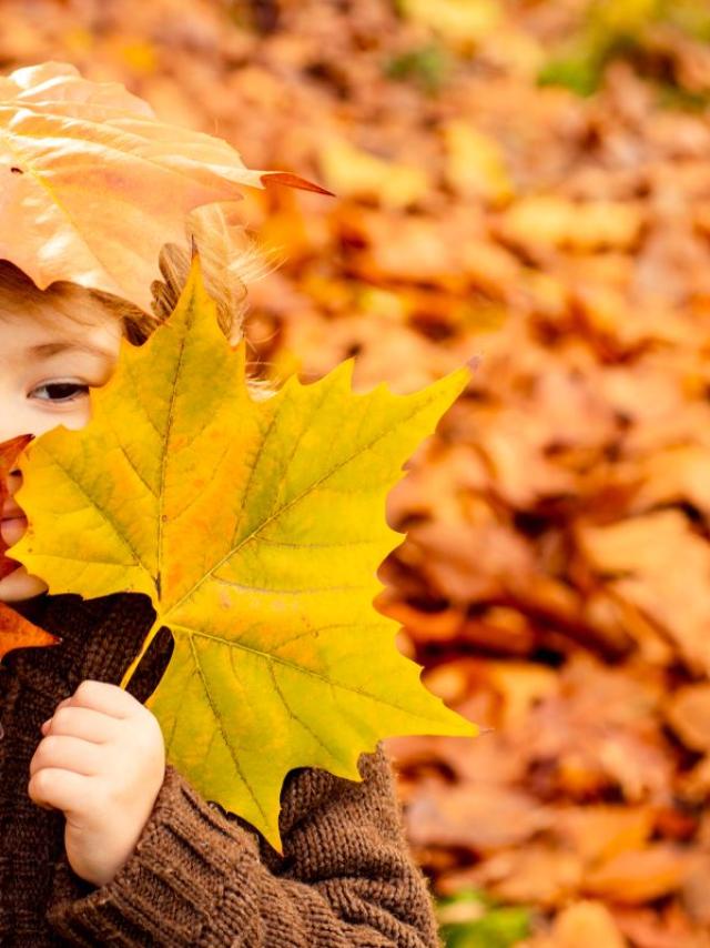 autunno famiglia bambini