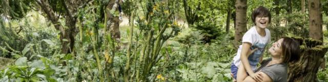 i Giardini di Brocéliande, la Rocaille