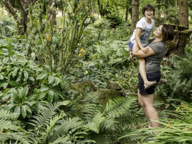 i Giardini di Brocéliande, la Rocaille