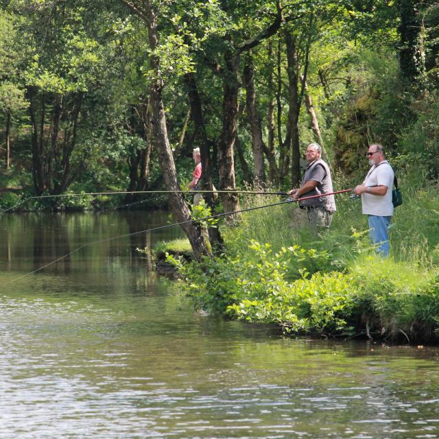 Chambre au loup - Pesca