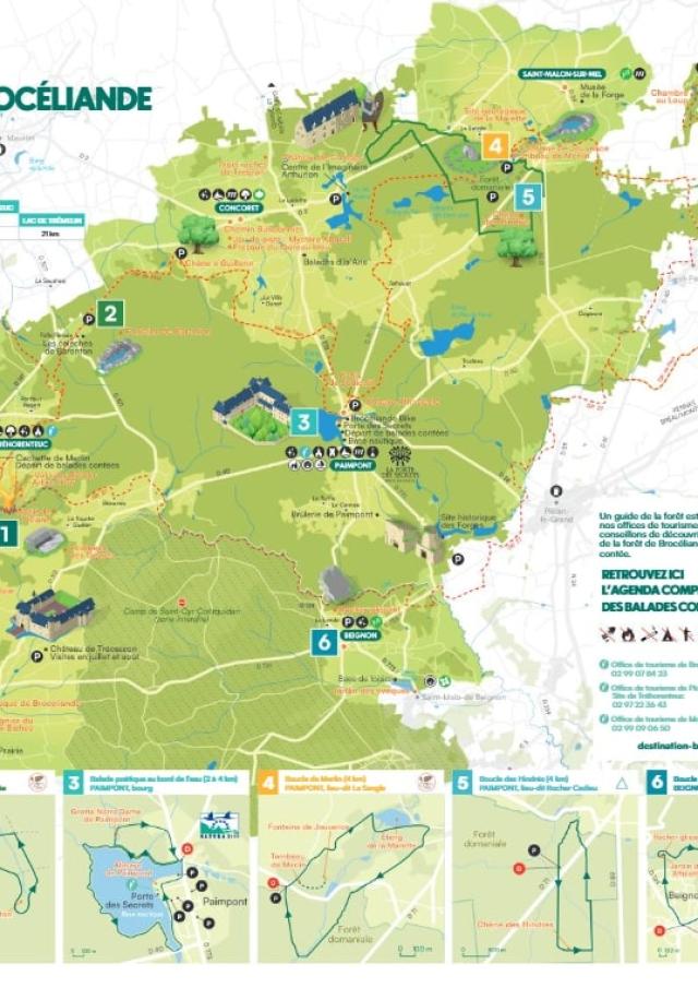 Carte Foret Primavera Verano