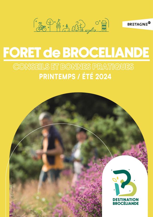 CONSEJOS Y BUENAS PRÁCTICAS PARA EL BOSQUE DE PRIMAVERA-VERANO DE 2024